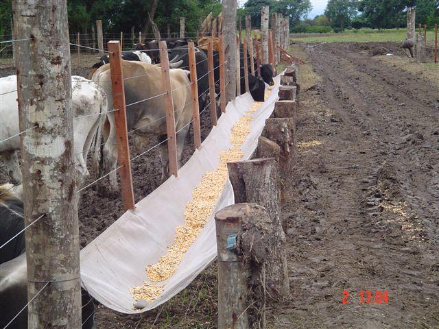 Comedero de Lona para Ganado